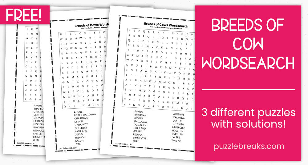 Breeds Of Cow Wordsearch Puzzle Breaks Monstrously Good Puzzles   Breeds Of Cows Wordsearch PV Puzzlebreaks 