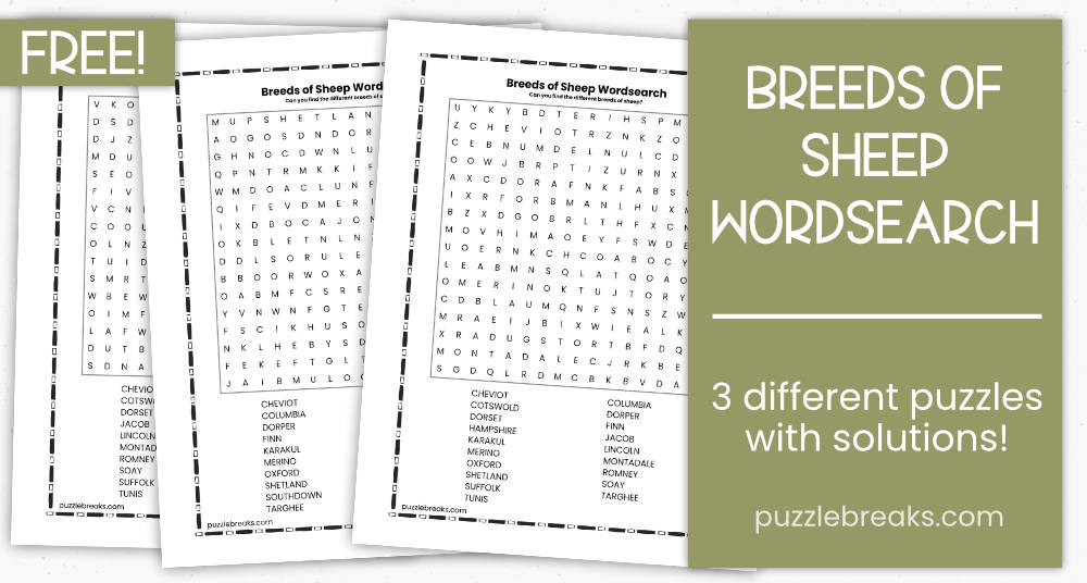 Breeds of Sheep Free Printable Wordsearch Puzzle Breaks Monstrously Good Puzzles